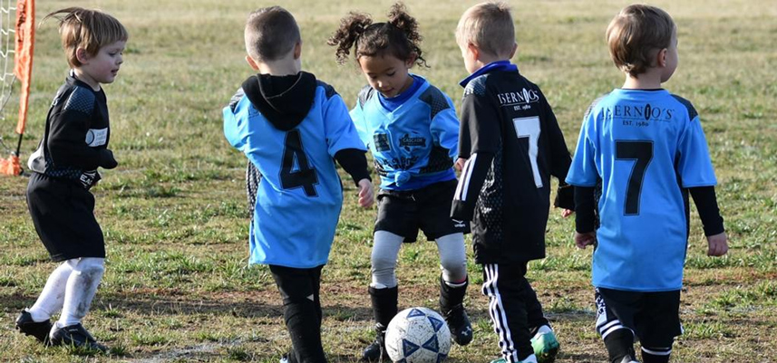 Micro-Soccer Fall 2024