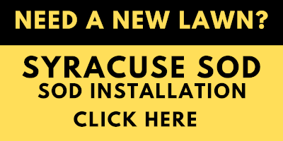 Syracuse Sod LLC